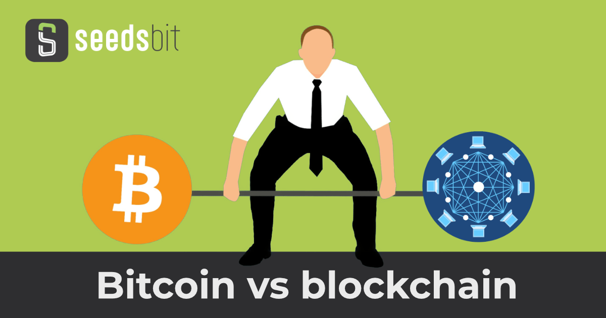 Seedsbit: bitcoin vs blockchain